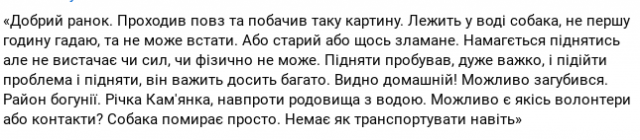 В районі житомирської Богунії в річці Кам