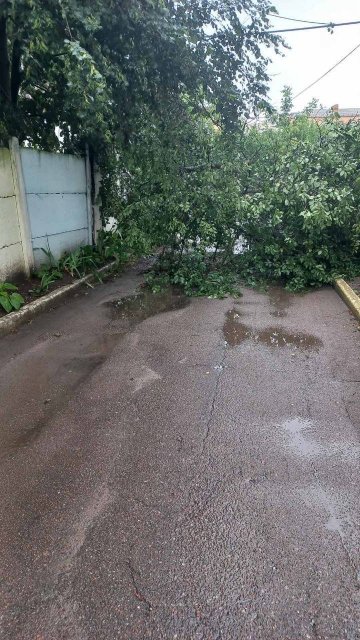 Як у Бердичеві ліквідовують наслідки негоди. ФОТО