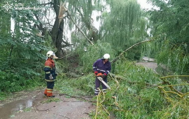 Через повалені на дорогу дерева на Житомирщині не міг рухатись автобус