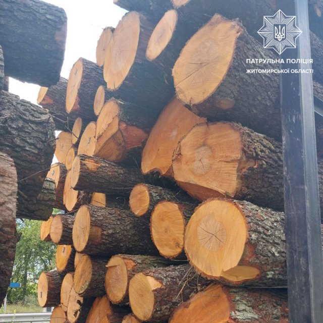 На Житомирщині патрульні зупиняли вантажівки: водії перевозили деревину без належних документів. ФОТО