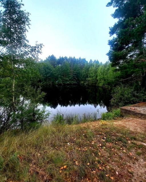 Голубе озеро на півночі Житомирщини. ФОТО