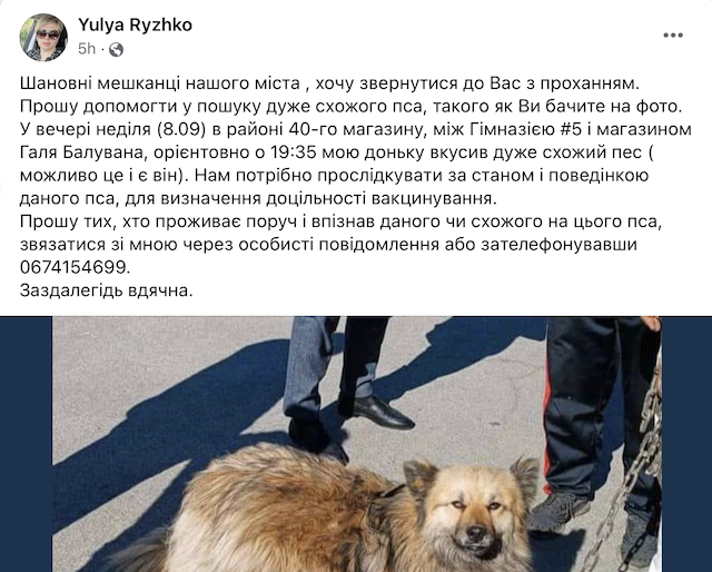У Бердичеві собака покусав дівчинку. Мама просить прослідкувати, чи пес не скажений У Бердичеві собака покусав дівчинку. Мама просить прослідкувати, чи пес не скажений