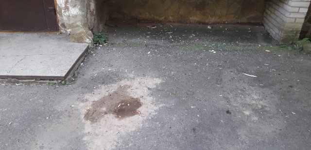 Бердичівляни жаліються на один з місцевих ВЖРЕПУ за бездіяльність