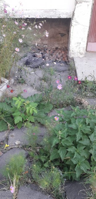 Бердичівляни жаліються на один з місцевих ВЖРЕПУ за бездіяльність