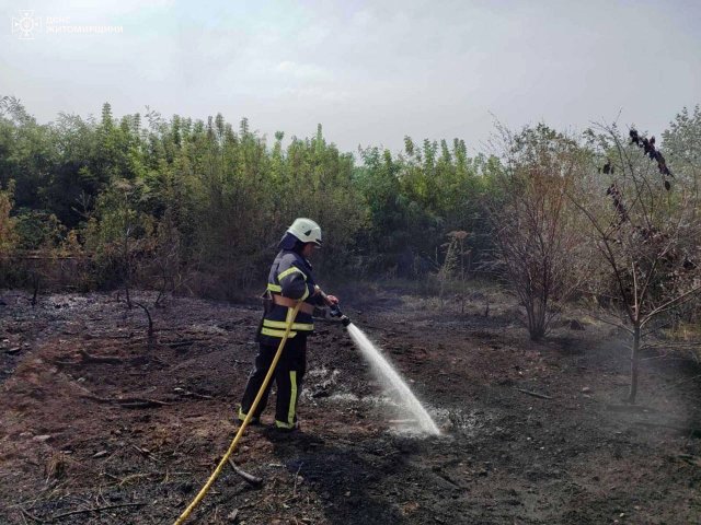 На Житомирщині за добу рятувальники ліквідували 20 пожеж. ФОТО