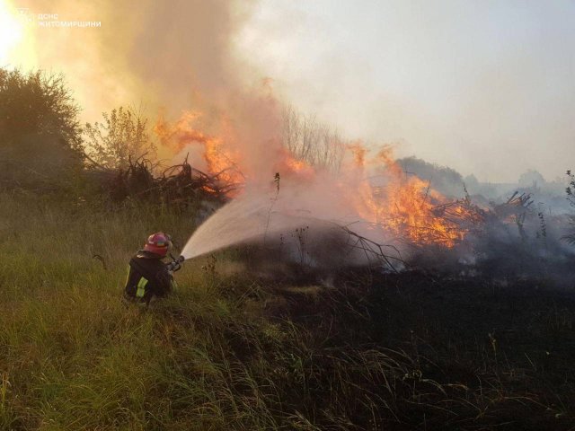На Житомирщині за добу рятувальники ліквідували 20 пожеж. ФОТО