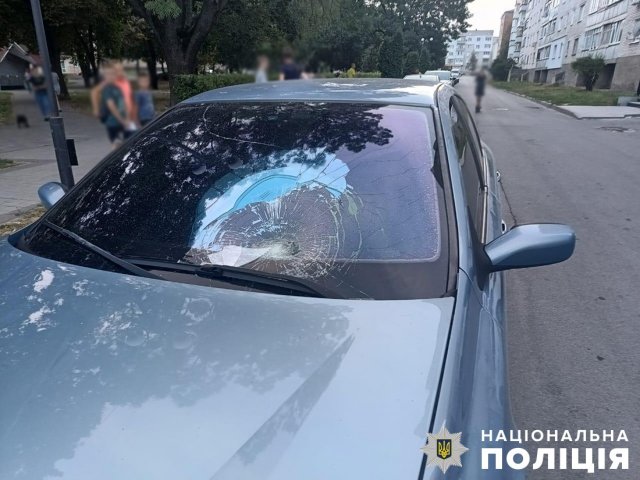 У Звягелі Renault збив хлопчика на велосипеді. ФОТО