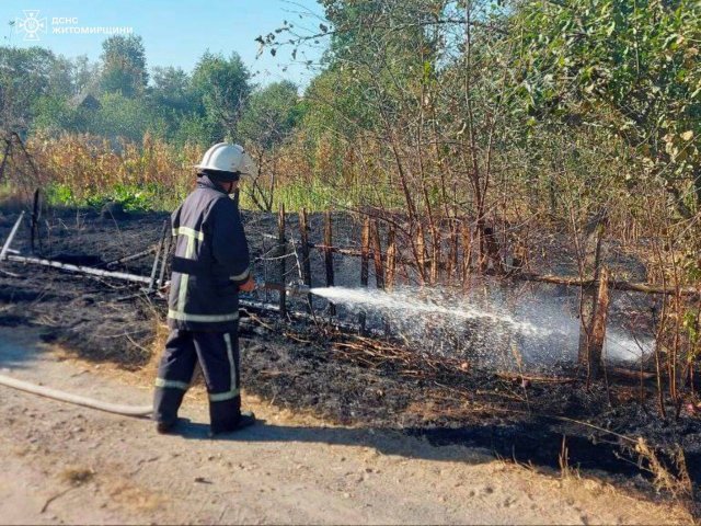 У Житомирській області за добу сталося майже 40 пожеж. ФОТО