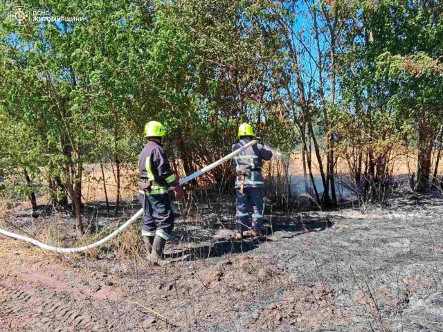 У Житомирській області за добу сталося майже 40 пожеж. ФОТО