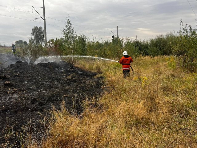 У заповіднику на півночі Житомирщини пожежу гасили майже 120 людей
