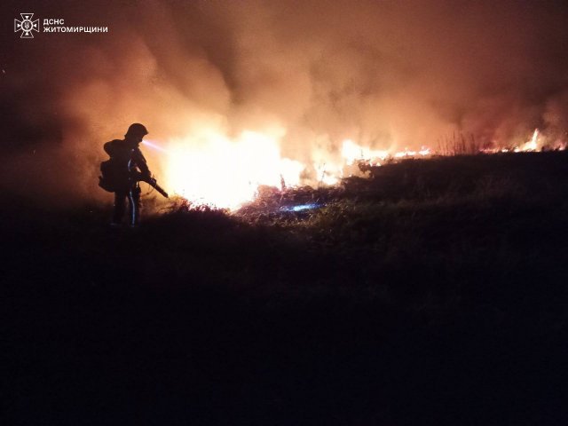 У заповіднику на півночі Житомирщини пожежу гасили майже 120 людей