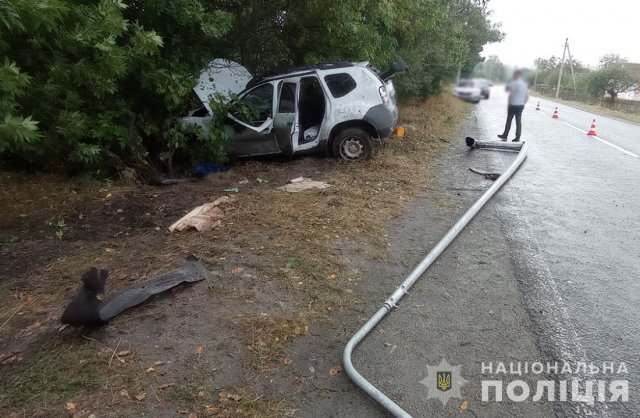 На трасі Житомир-Чернівці водій не впорався з керуванням та з’їхав у кювет, четверо травмованих