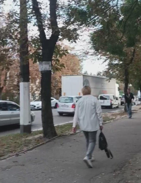 На Крошні у Житомирі - ДТП