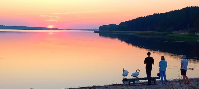 Вражаюче Малинське море. ФОТО