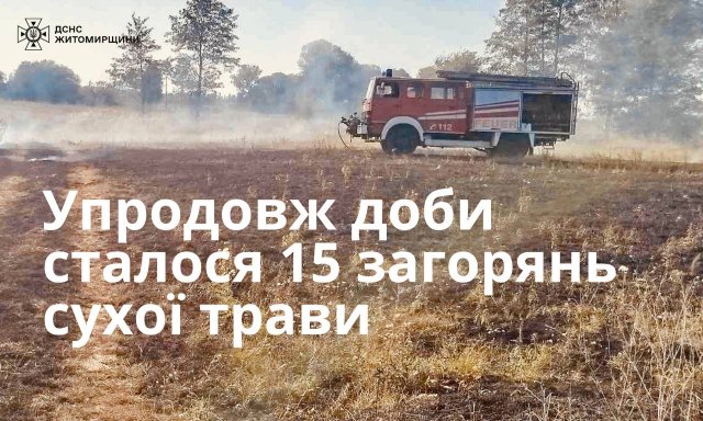 У селі Житомирського району вогонь із сухої трави перекинувся на господарчу будівлю