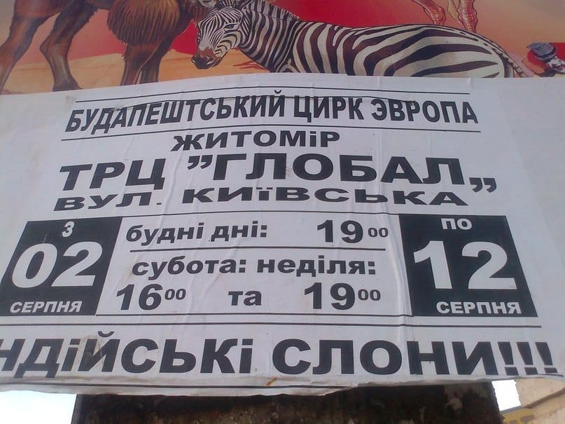 1344670652_tlnsksqasqw-122.jpg