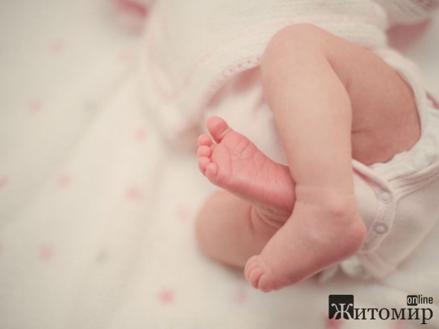 1576847646_5d1d06efb6b06_baby