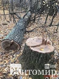 1579605598_image