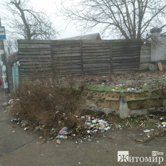 1579866943_image