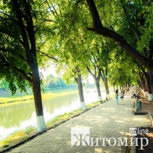 1581327797_image