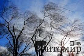 1582448323_image