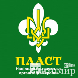 1582452155_image