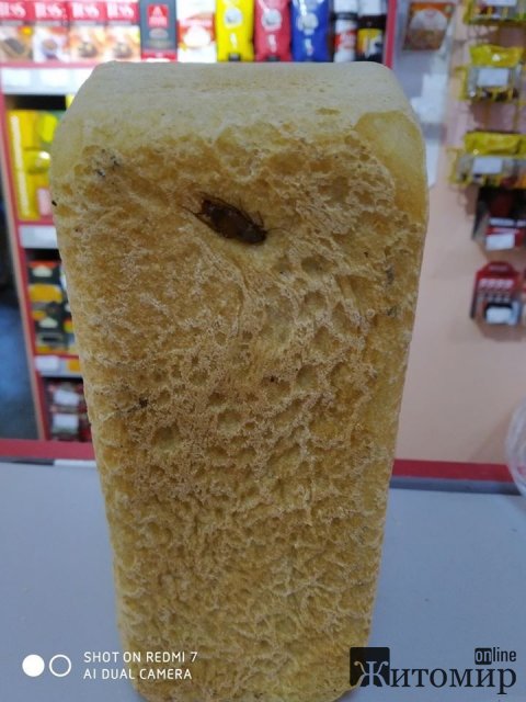 1583049246_image