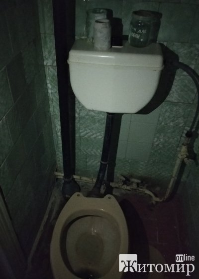 1584361960_5