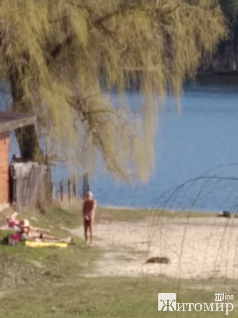 1584712425_image