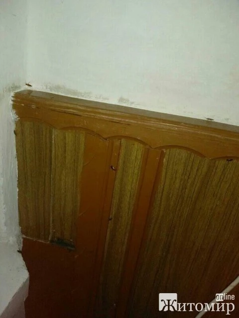1588401063_image
