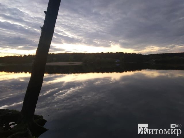 1588761888_image