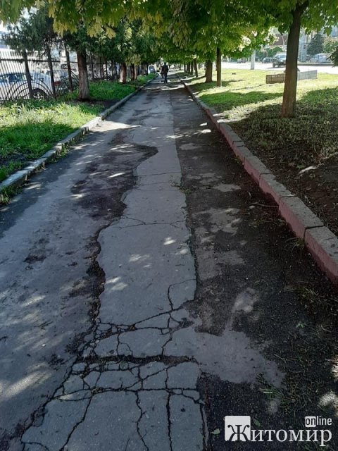 1589264491_image