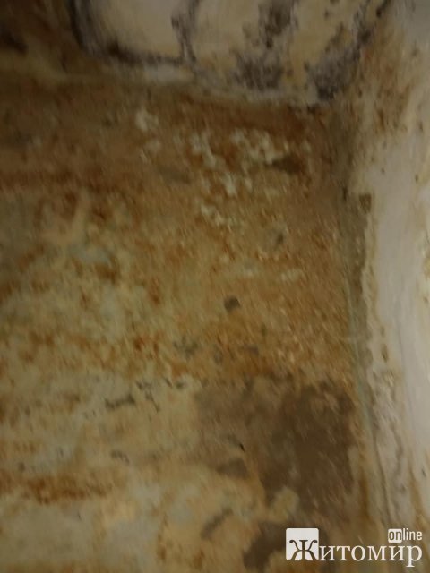 1591345443_image