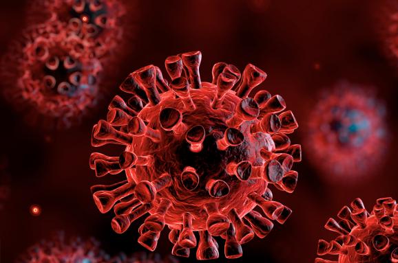 1591697089_im578x383-coronavirus-covid-19