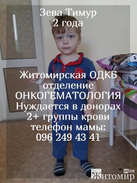 1595052486_image