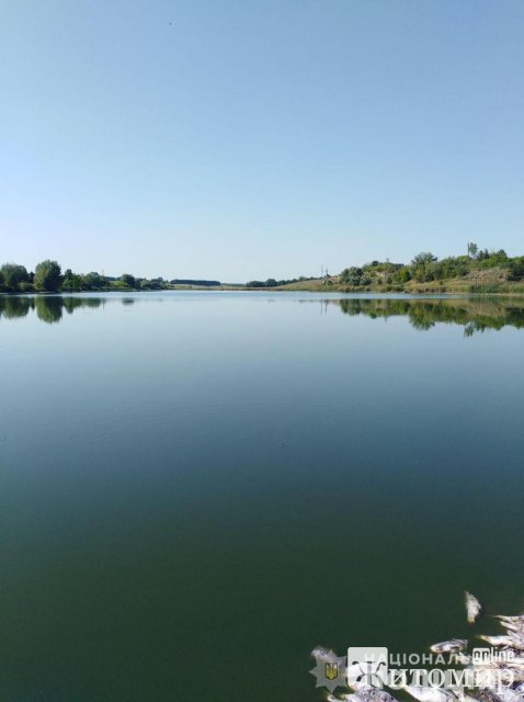 1599035052_image