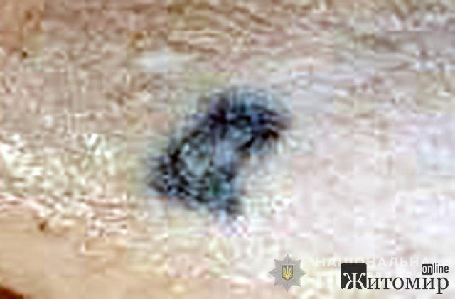 1600344125_image