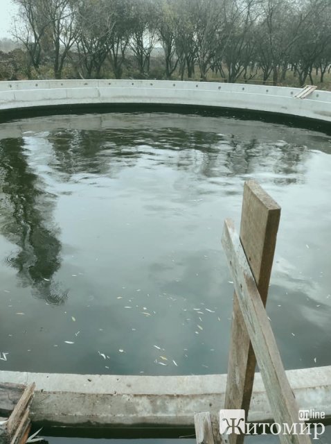 1606477241_img1606470198_5