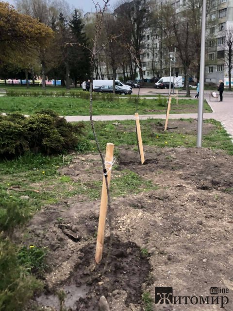 1619786319_181150888_1994307367404574_6794523042094419695_n