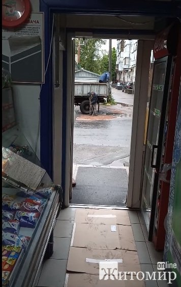 1621512417__agressivnaya_uchitelnitsa_650x410