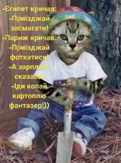 1630403676_240934088_1485021701863102_1244315638761314483_n