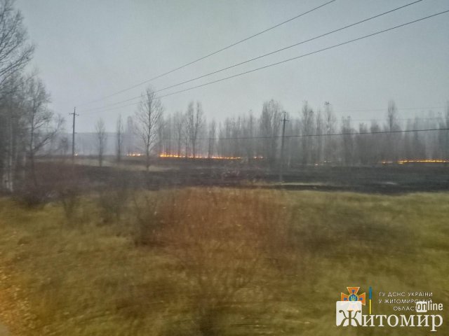 1635938632_trava-01