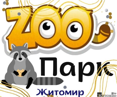 1655277831_787