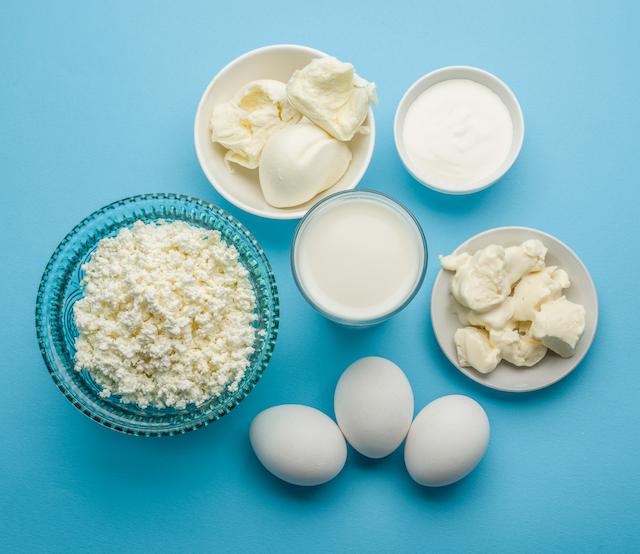Protein products: cheese, cream, milk, eggs on the blue background.