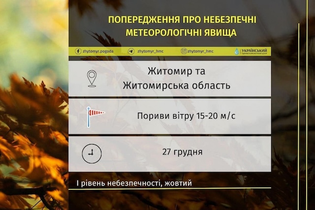1703668088_414703053_788147863325992_7797442169500698617_n-big