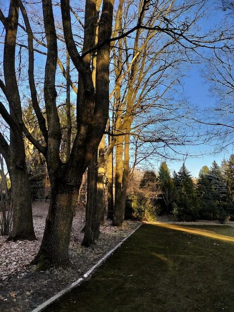 1710009632_430322887_743161437924002_1966176359513452718_n