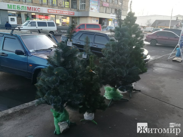 1576768431_79596413_458288584831287_1289050076441739264_n_photo-resizer.ru_