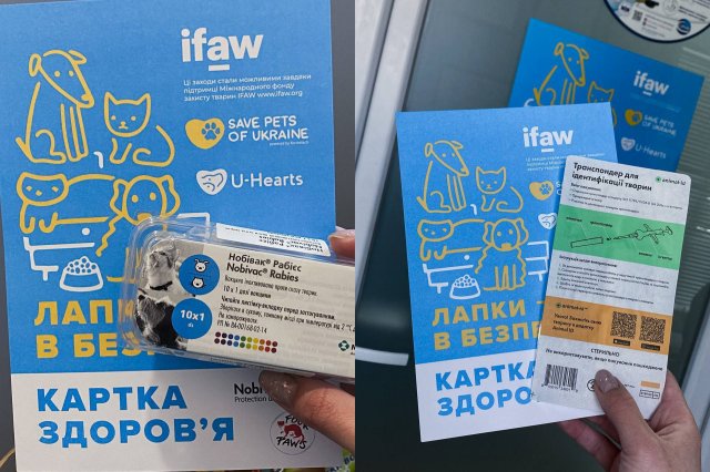 У Житомирі безкоштовно вакцинують тварин від сказу та чіпують