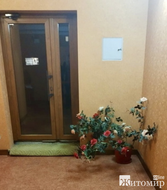 У Житомирському парку чоловік стріляв у людей з пістолета У Житомирському парку чоловік стріляв у людей з пістолета