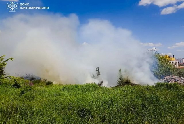 У Житомирі рятувальники ліквідували займання сухої трави та очерету вздовж річки